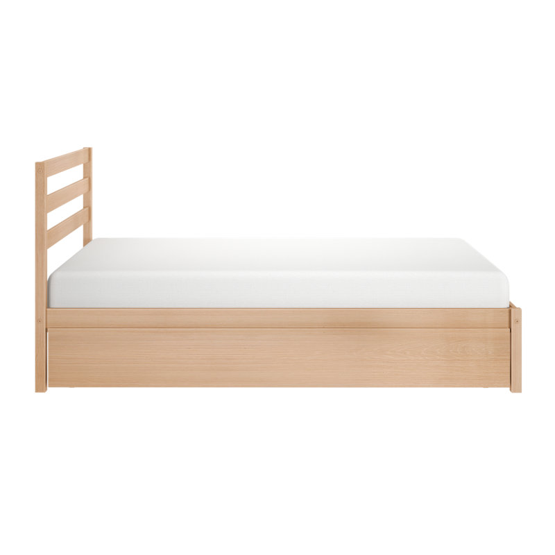 Lit simple Bear avec lit gigogne Bear, Full, Embossed Natural