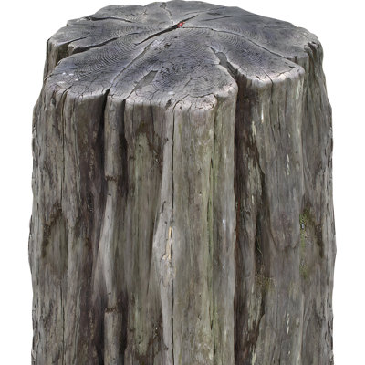 Wood Log Tree Stump Cardboard Standup