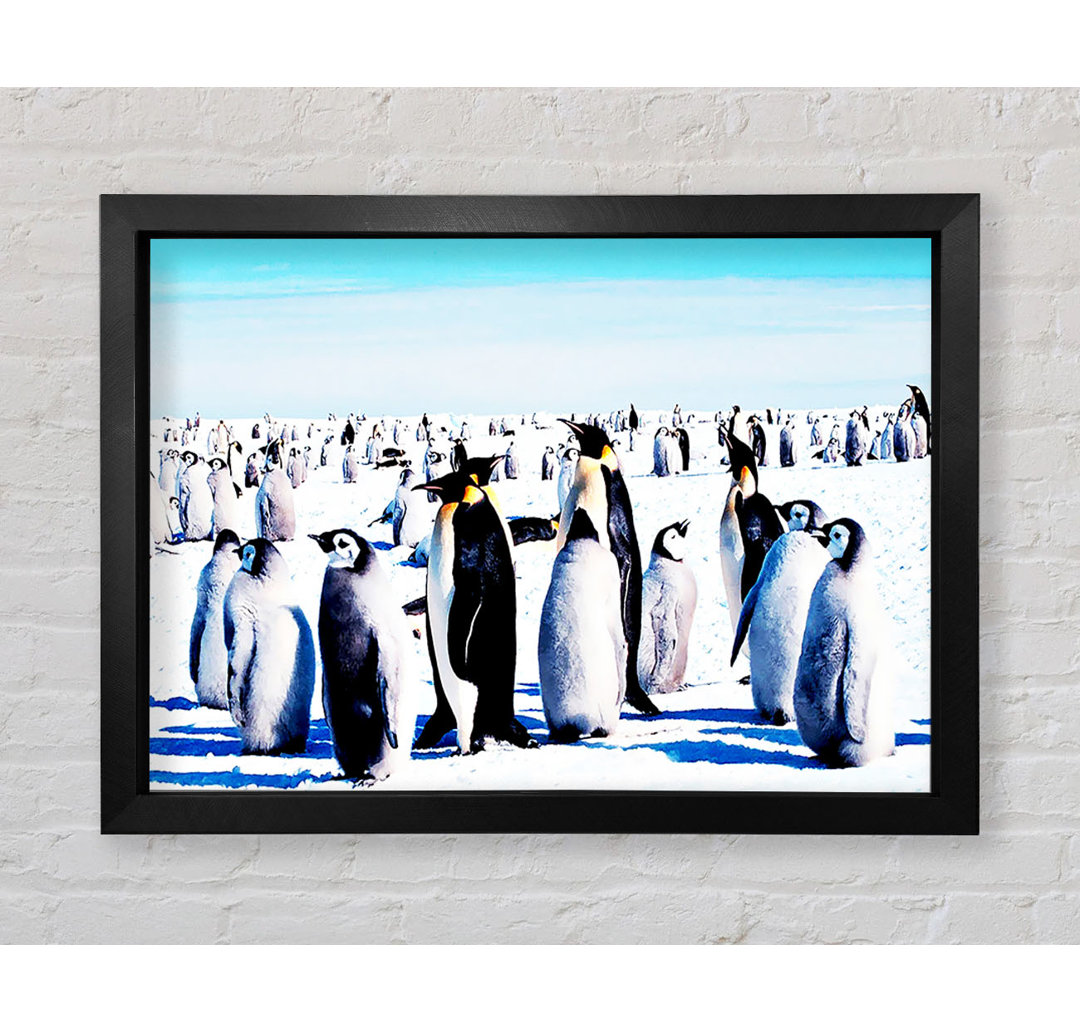 Pinguin-Treffpunkt Gerahmter Druck Wandkunst