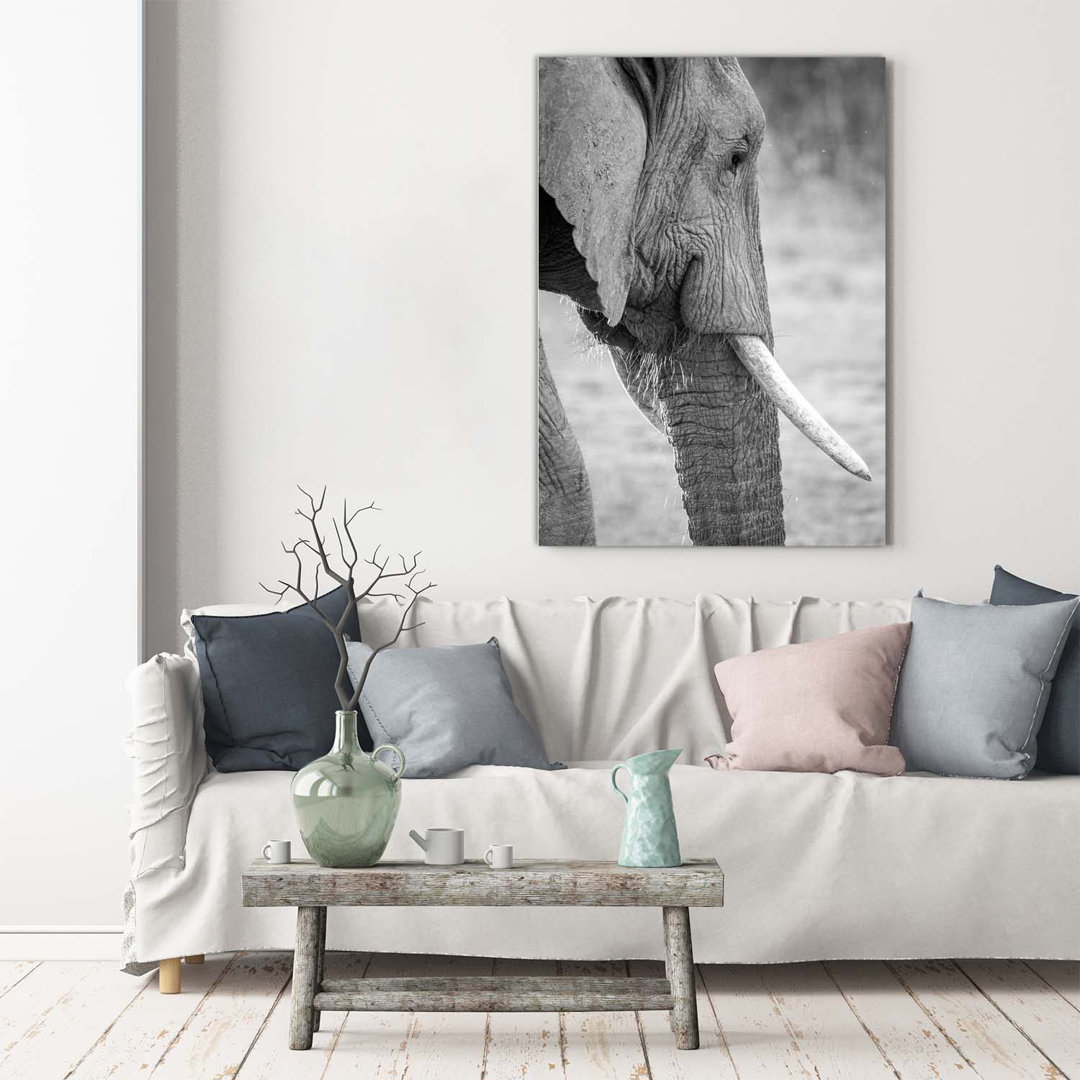 Elefant - Kunstdrucke auf Leinwand - Wrapped Canvas