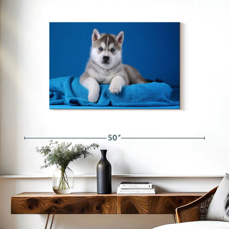 Chiot Husky aux yeux bleus, H 24 po x l 36 po