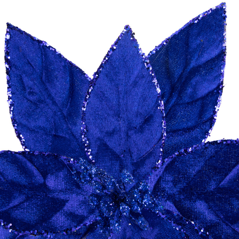Tiges de poinsettia, Bleu