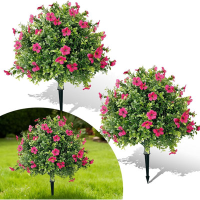60cm Plant
