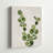 " Botanical Wash III " by Conrad Knutsen-1488437346