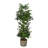 82'' Faux Palm Tree in Wicker/Rattan Basket-621038395