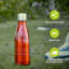 ROYALFORD 350ml Double Wall Insulated Stainless Steel Water Bottle