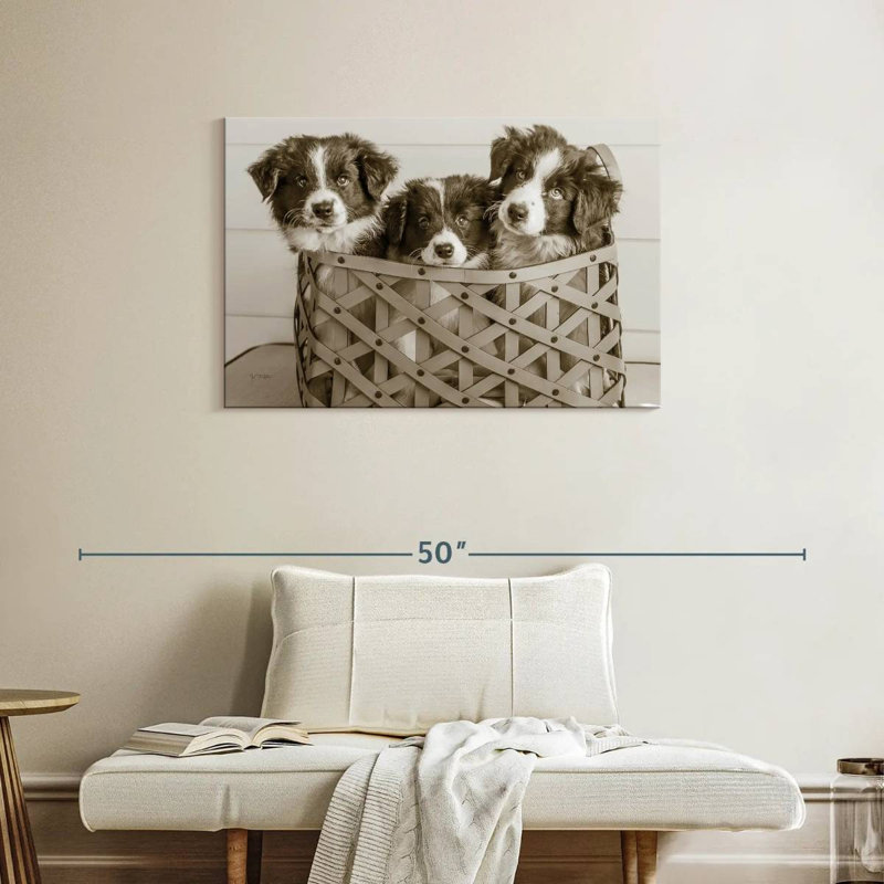 Brampt What A Cute Bundle, 24" H x 36" W
