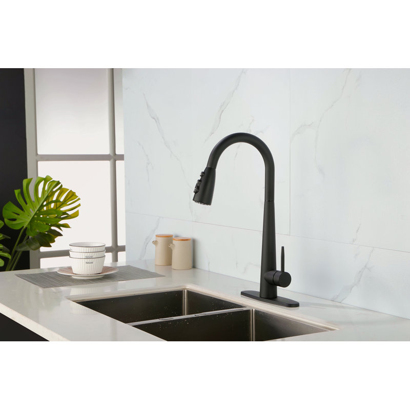 Single Handle Stainless Steel Kitchen Sink Faucet With Pull Down Sprayer, Matte Black