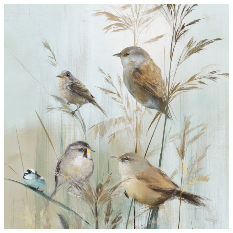 Birds On Grass Stems Window Curtains, Birds Sheer & Blockout Curtains - 1 Panel, 50" x 92" - 1 Panel, Sheer