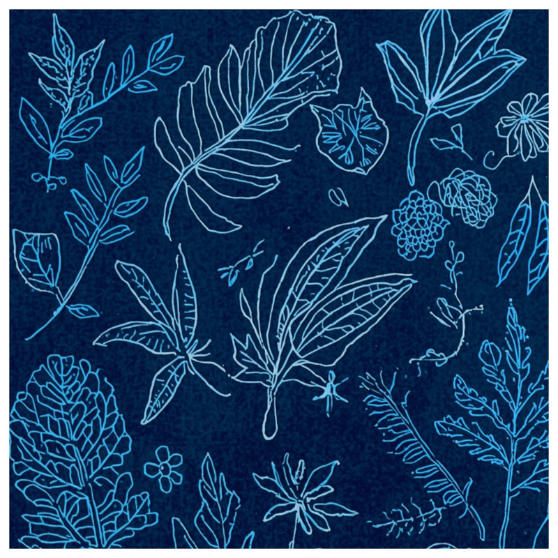 Botanical Leaf Sketches Blankets, 60in W x 80in H