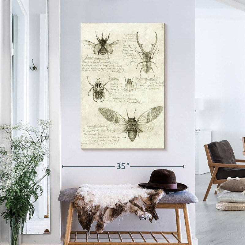 Insect Sketch, 36" H x 24" W