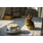 Chubby Rabbit Standing Statue