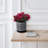 6" Mesh Design Planter W/ Saucer