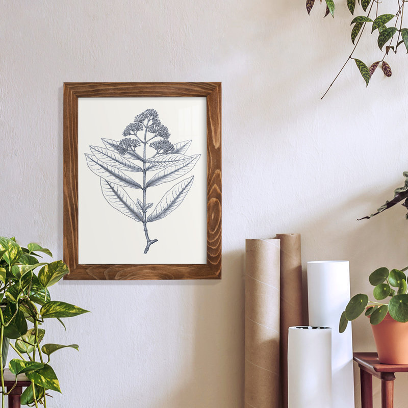 Indigo Botany Study I - impression d'un cadre photo, H 11 po x l 9 po x P 1 po, Noyer