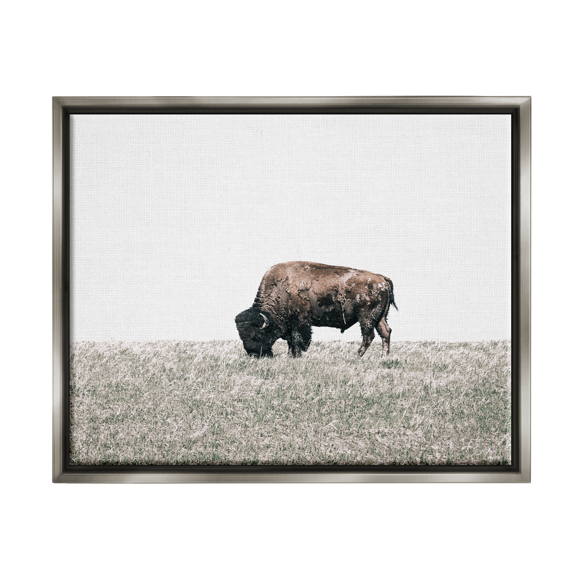 Union Rustic Buffalo Grazing Pasture On Canvas Print | Wayfair
