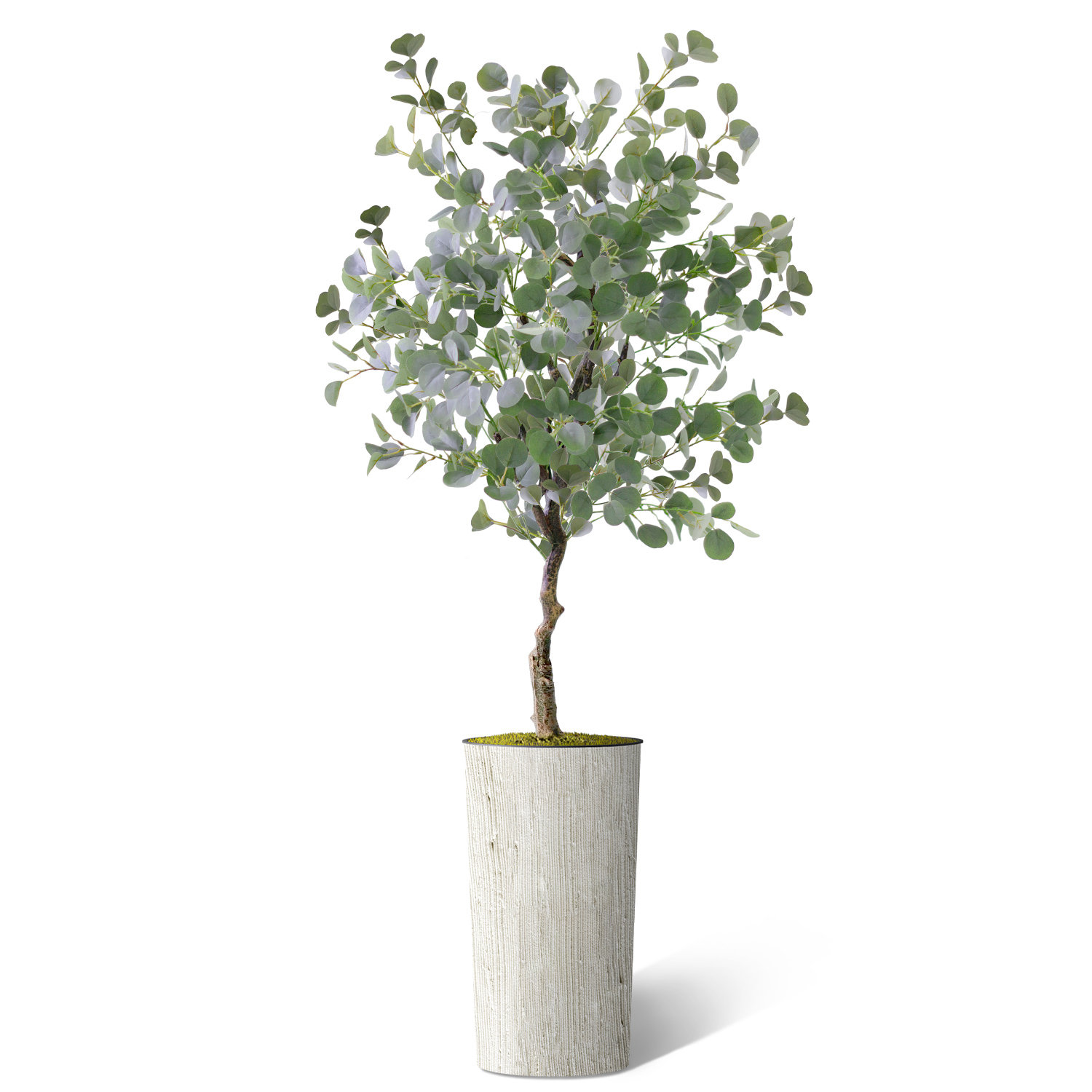 SIGNLEADER Artificial Tree In Modern Planter, Fake Ficus Silk Tree Home  Decoration (Plant Pot Plus Tree) & Reviews