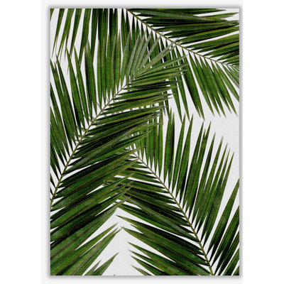 Palm Leaf III - Print