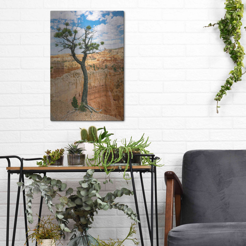 «Utah Bryce Canyon Tree» par AKG, H 16 po x l 12 po