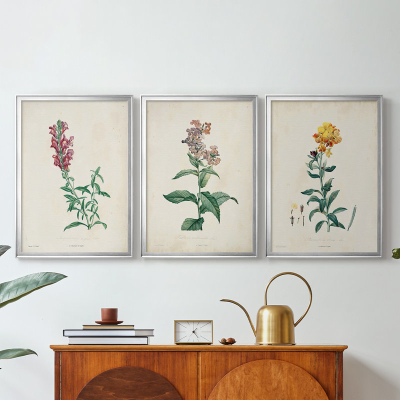 Traditional Botanical I - Toile tendue avec châssis sur mesure - 3 pièces, Argent argent, H 15 po x l 19 po