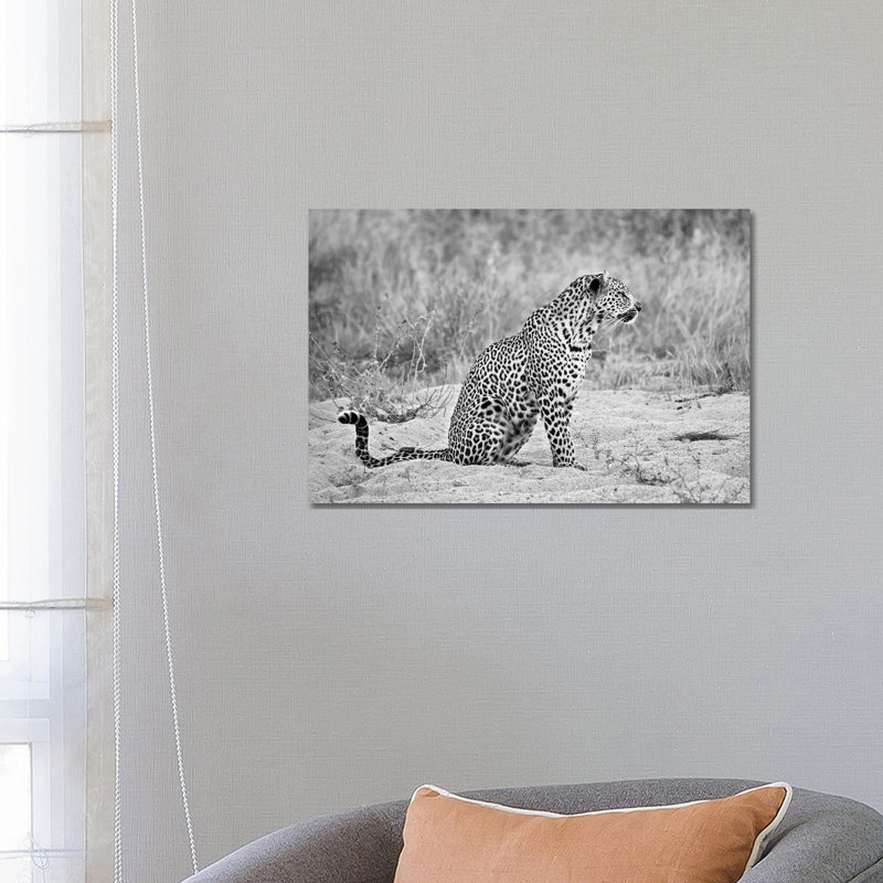Leopard In Black And White - Print on Canvas, 66.04 cm H x 45.72 cm W x 1.91 cm D, Wrapped Canvas