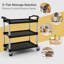 Nekole Metal Bar Cart