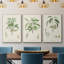 "Antique Ammond Botanical I", reproduction sur toile 3 pièces-91887861-91887856