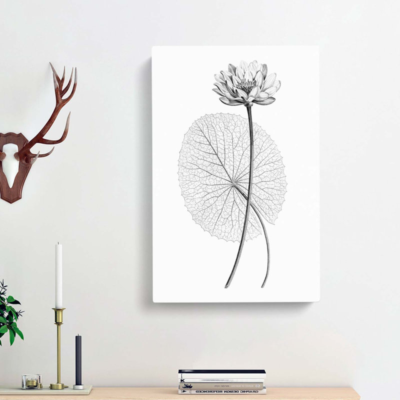 White Egyptian Lotus - Wrapped Canvas Print, 50cm H x 35cm W x 3cm D