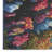 Nourison Color Splash 4' x 6' Multicolor Coastal, Nautical & Beach Rug-117953319