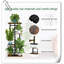 Support pour plante 4 niveaux et 5 tablettes pour plante d'intérieur