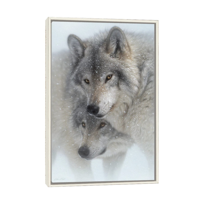 Wild Devotion - Gray Wolves, Distressed White Floater Framed Canvas, 40" H x 26" W x 1.5" D