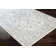 Kucera Oriental Indoor Rug