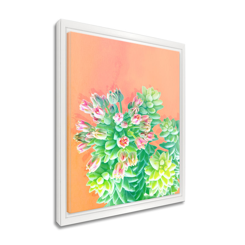 « fraîche growth », impression sur toile succulent, H 40 po x l 30 po x P 1,5 po, Cadre blanc