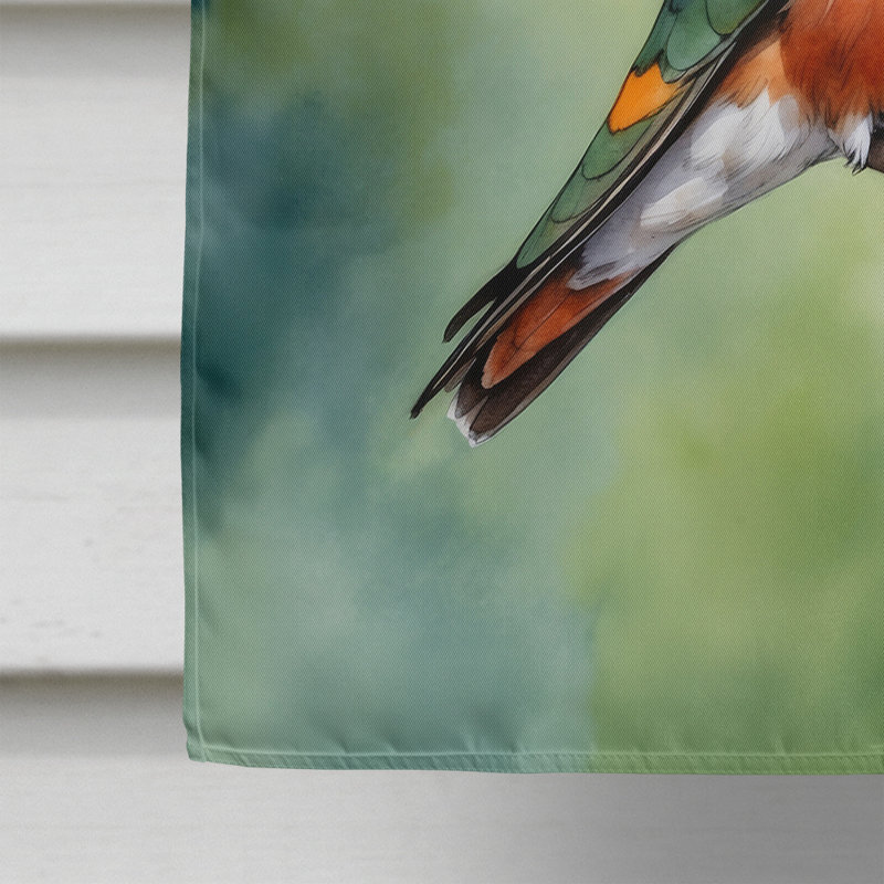 House Flag, Allens Hummingbird