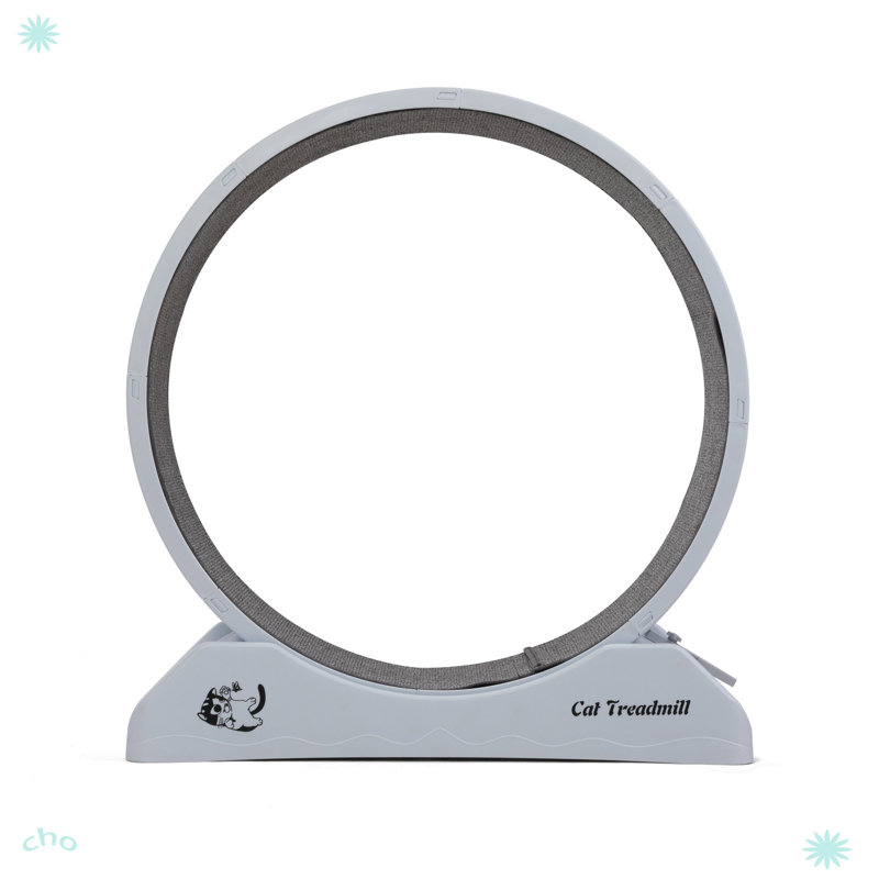 Roue pour chat, teaser pour chat, Gris