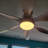 Leibman 6-Blades 66" Ceiling Fan with Remote Control and LED Light-1191864463