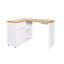 Hollice Modular L-Shaped Writing Desk-122000732