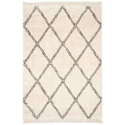 Kepler Geometric Shag Area Rug