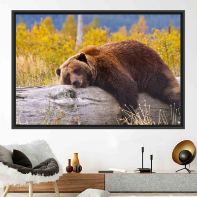 Art mural encadré avec un ours brun humoristique reposant sur une bûche pour une décoration moderne