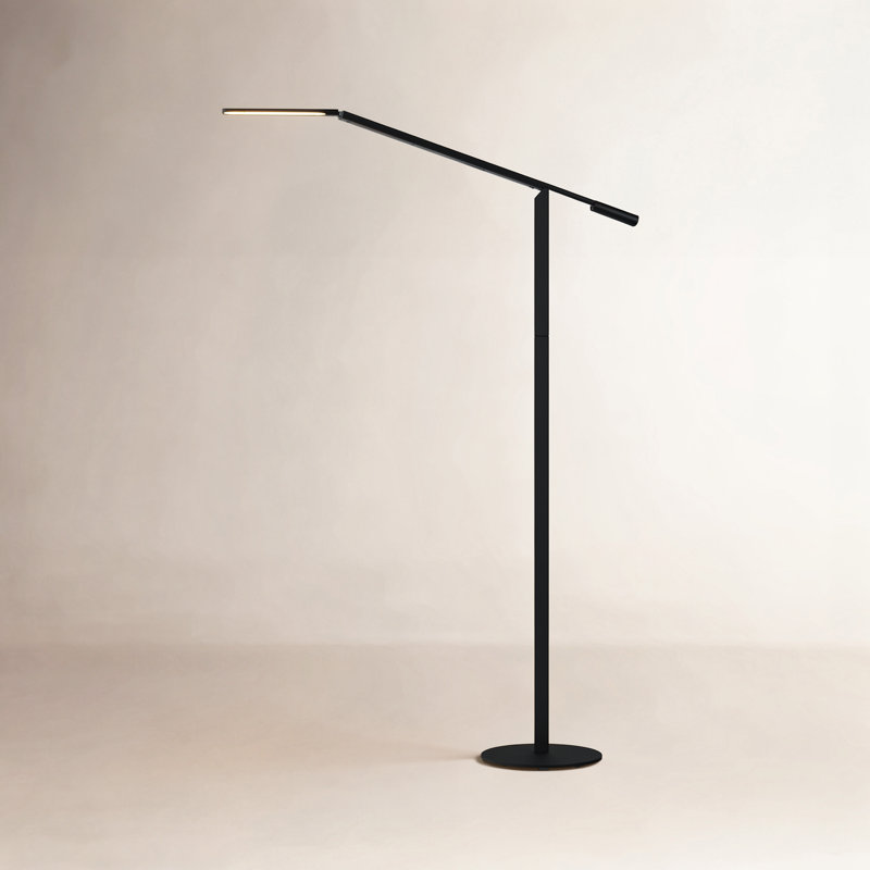 Equo 44.75'' Task Floor Lamp, Black, Warm