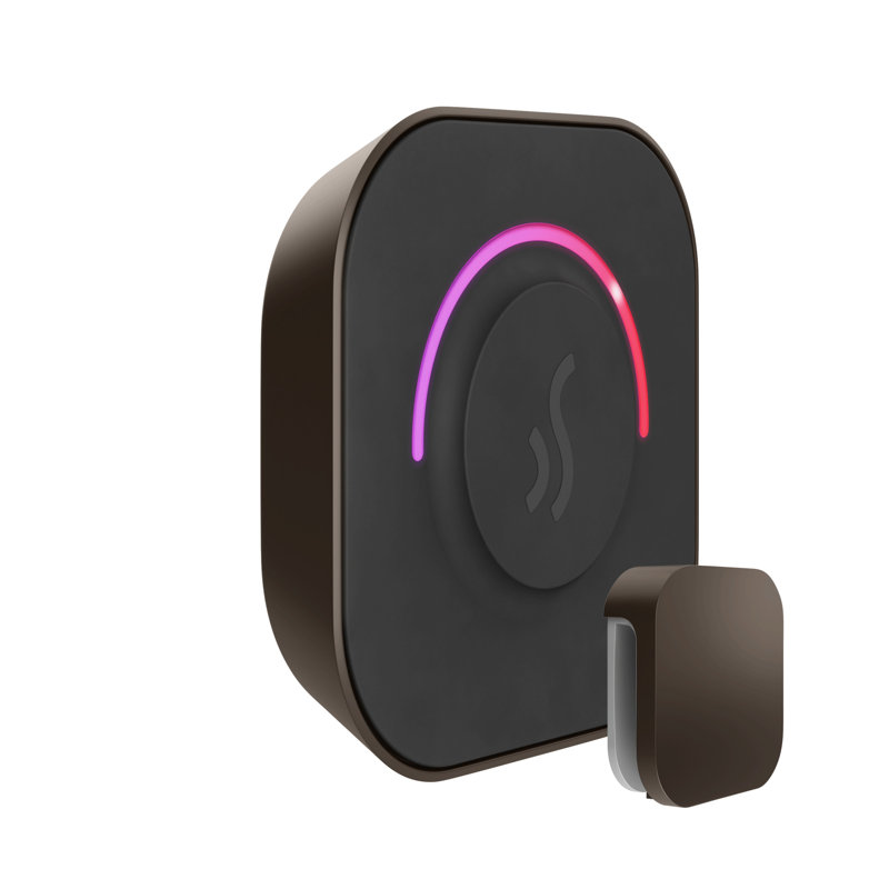 TempoTouch Steam Shower Control and Steamhead , Oil-Rubbed Bronze