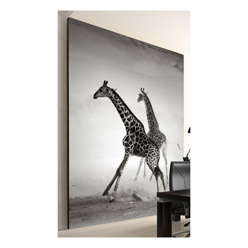 Giraffes 3.09m x 400cm Wallpaper, 350 cm x 270 cm
