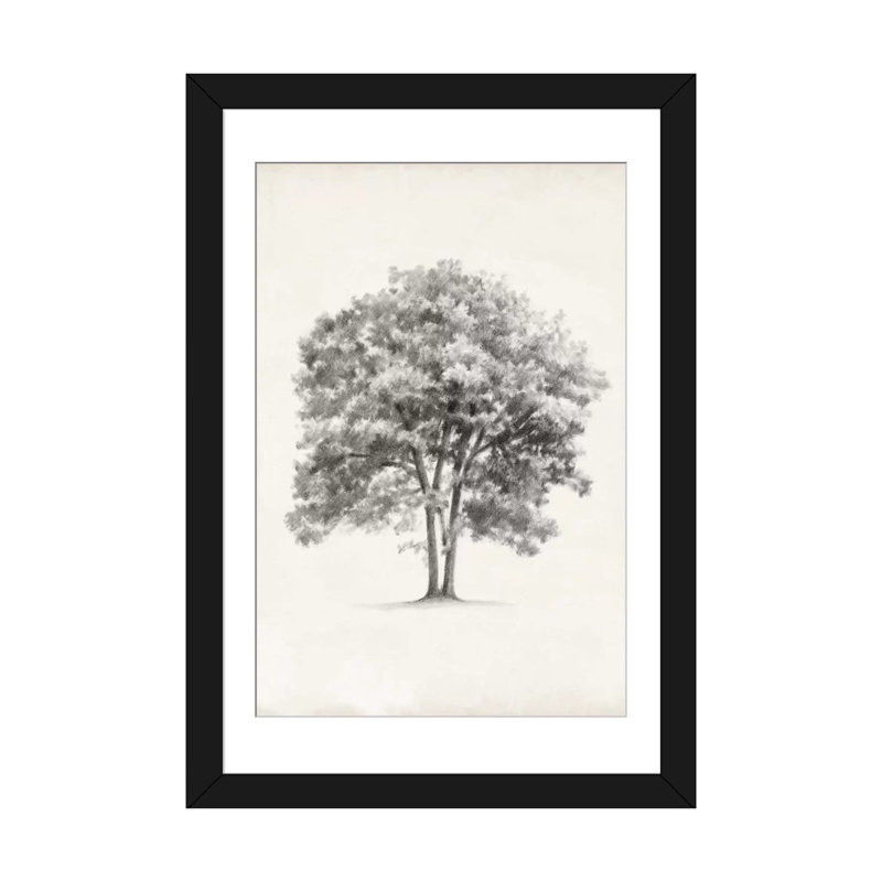 « arbor study ii », reproduction d’art sur toile, H 32 po x l 24 po x P 1 po, Papier d'art encadré noir, Blanc