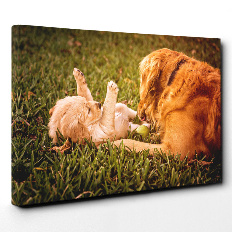 Wrapped Canvas Print, 35cm H x 50cm W