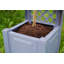 Planter Box-20659356