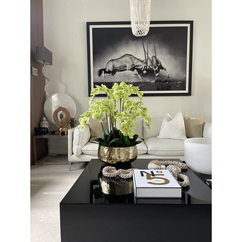 Pot à tiges d'orchidée Roberi, H 30 po x l 22 po x P 22 po, Vert