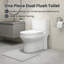 One-Piece Siphonic Ceramic Toilet, 1.1/1.6 GPF Dual Flush, Elongated Bowl, Soft-Close Seat, Floor Mount, White