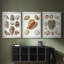 Collection de coquillages VI - Toile tendue avec châssis sur mesure - 3 pièces-298649442-298649441