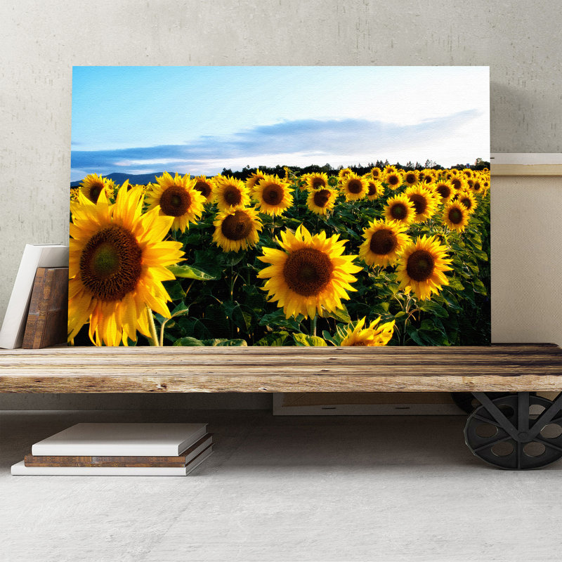 Wrapped Canvas Print, 50cm H x 76cm W