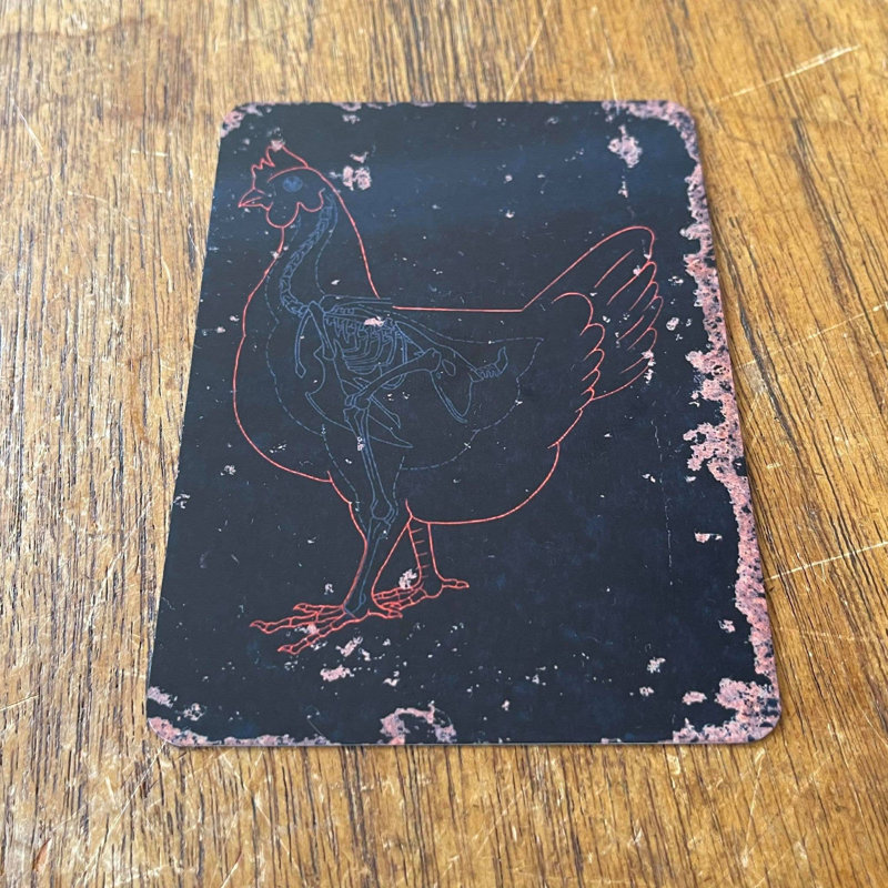 No Frame Print on Metal, 20cm H x 15cm W