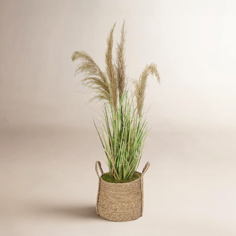Roseau dans un panier rond naturel